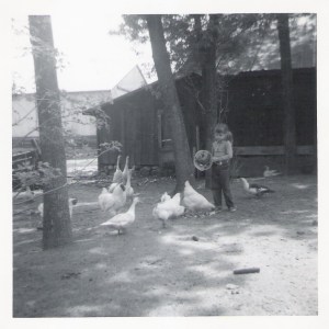 me feeding the chickens, michigan